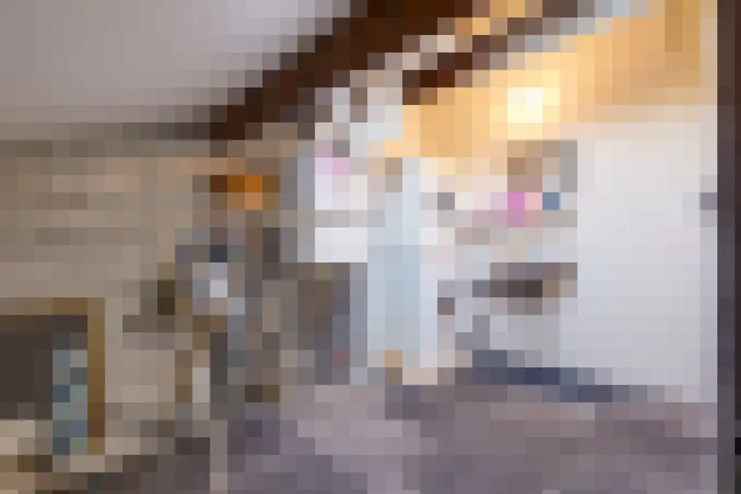 Schillerstraat 63 Venlo thumbnail 22