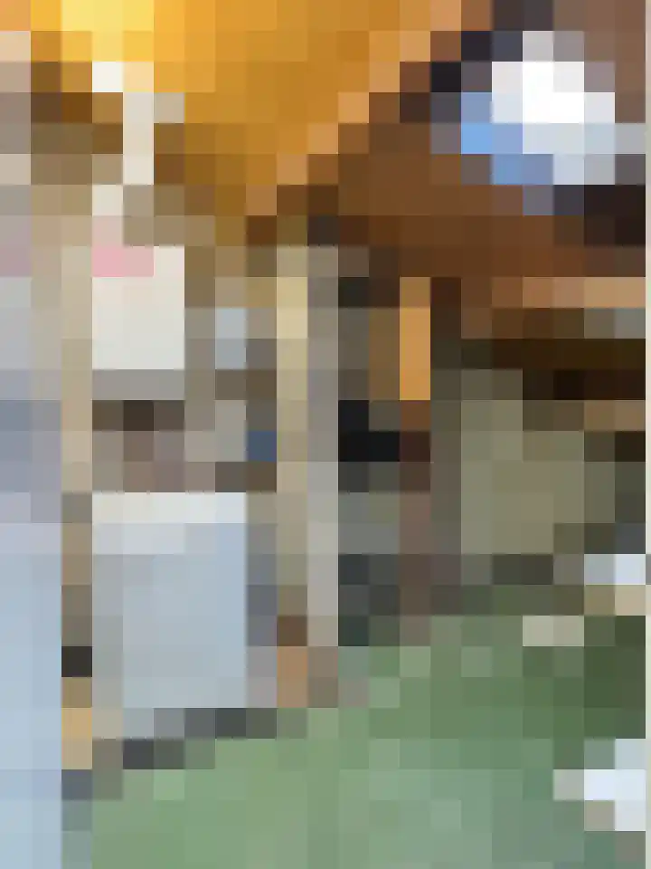 Schillerstraat 90 Venlo thumbnail 19