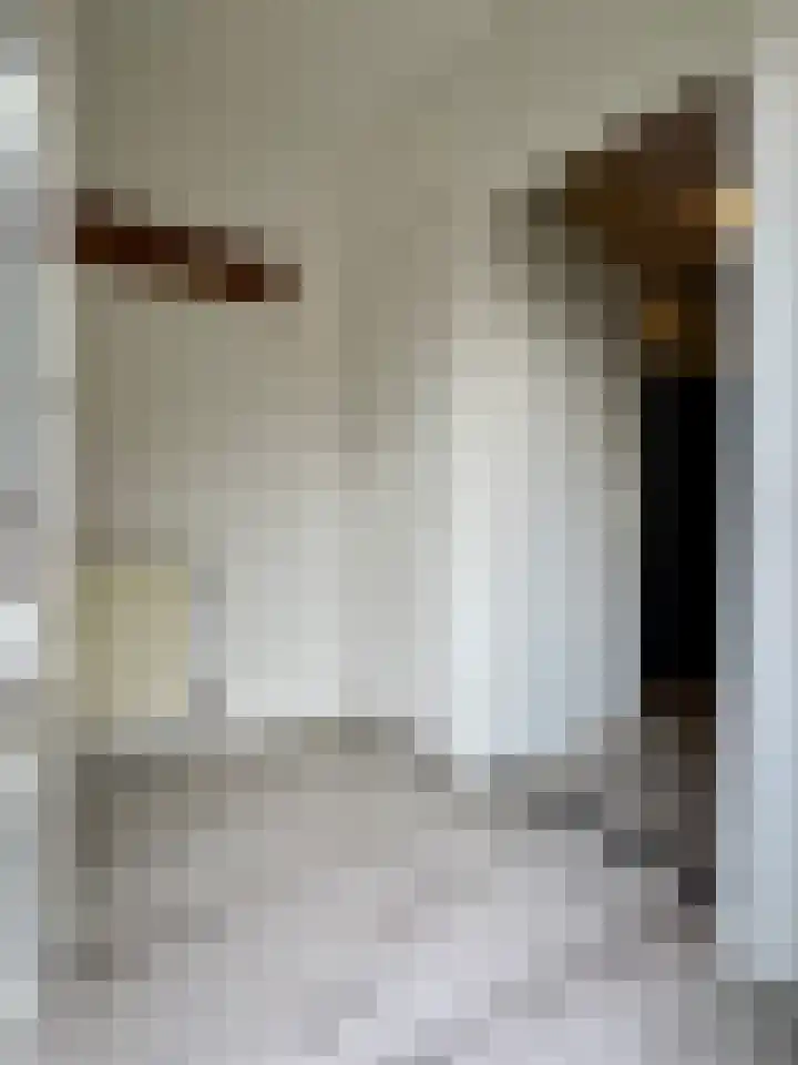 Schillerstraat 90 Venlo thumbnail 8