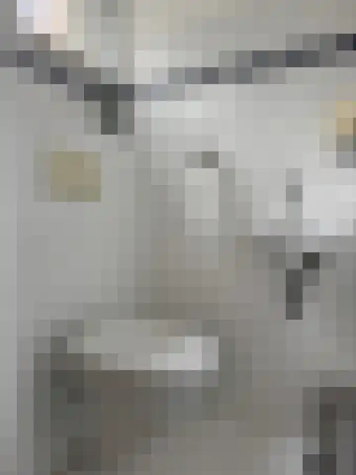 Schillerstraat 90 Venlo thumbnail 9