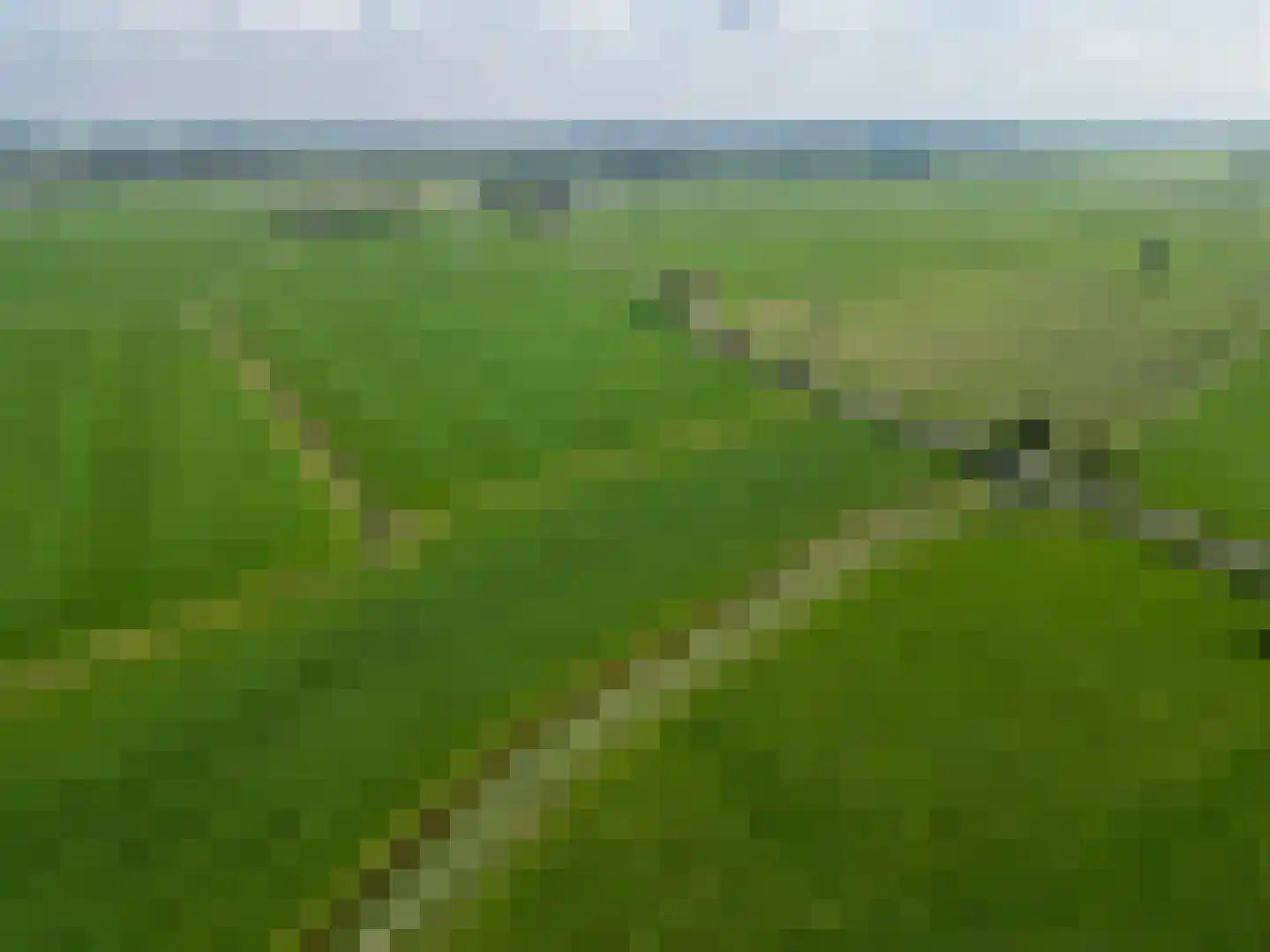 Schilligeham 8 Winsum thumbnail 102