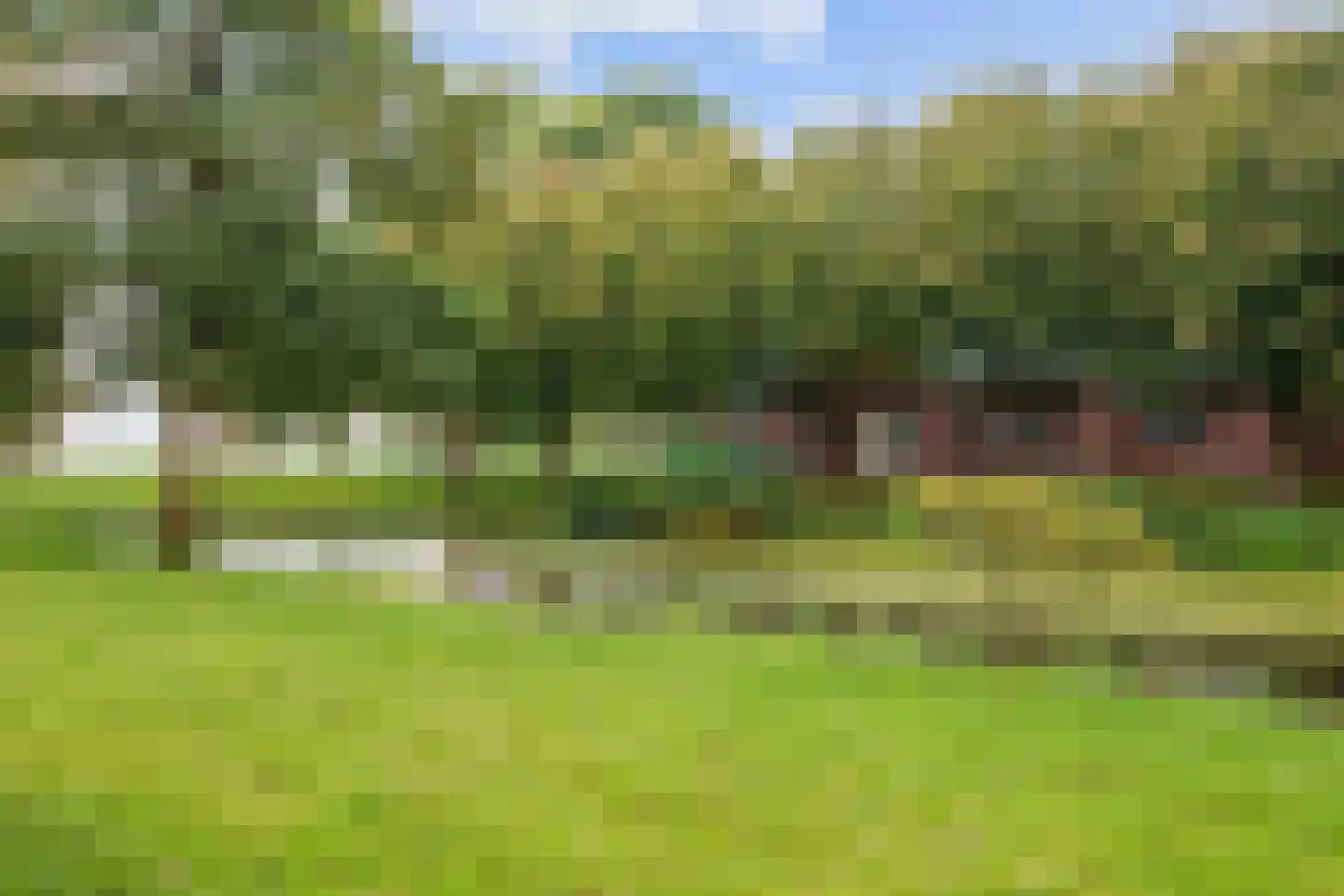 Schilligeham 8 Winsum foto 2