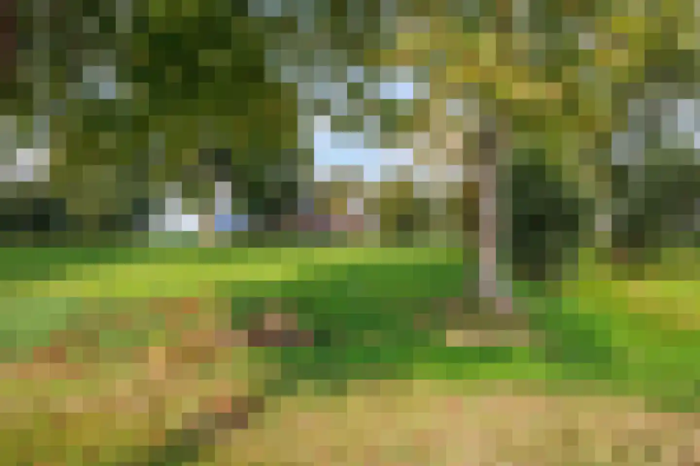 Schilligeham 8 Winsum thumbnail 4