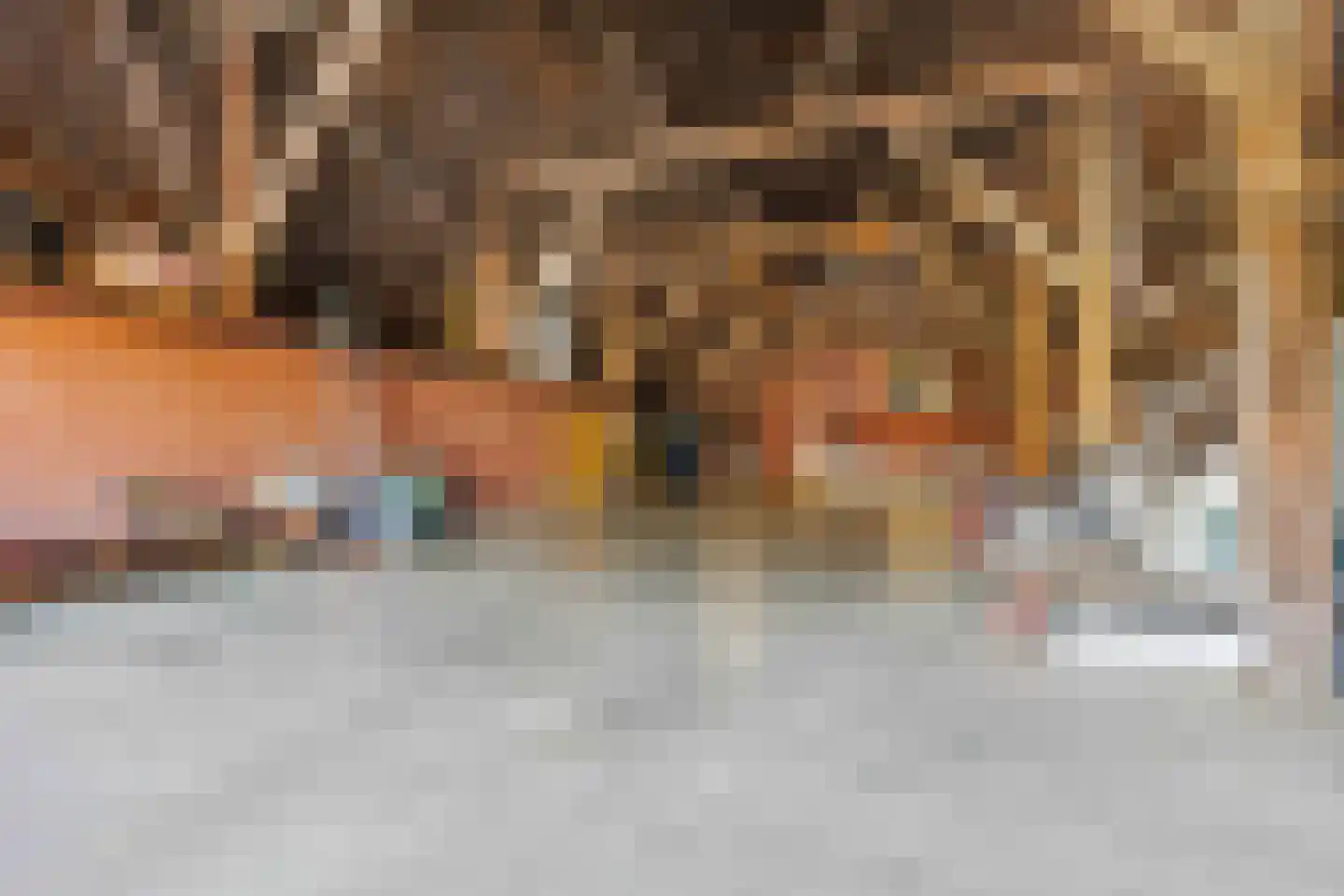 Schilligeham 8 Winsum thumbnail 68