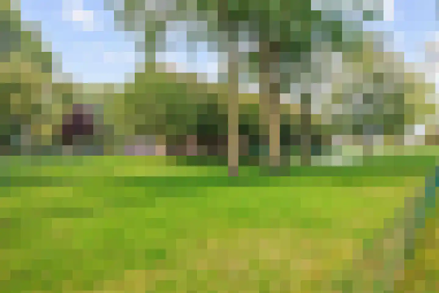 Schilligeham 8 Winsum thumbnail 7