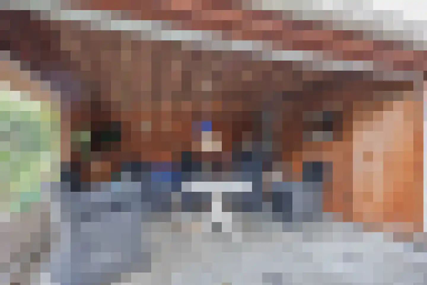 Schilligeham 8 Winsum thumbnail 78