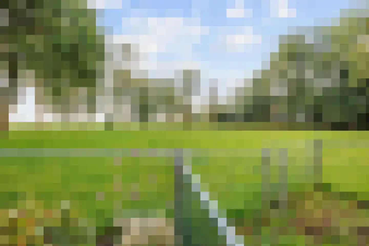 Schilligeham 8 Winsum thumbnail 81
