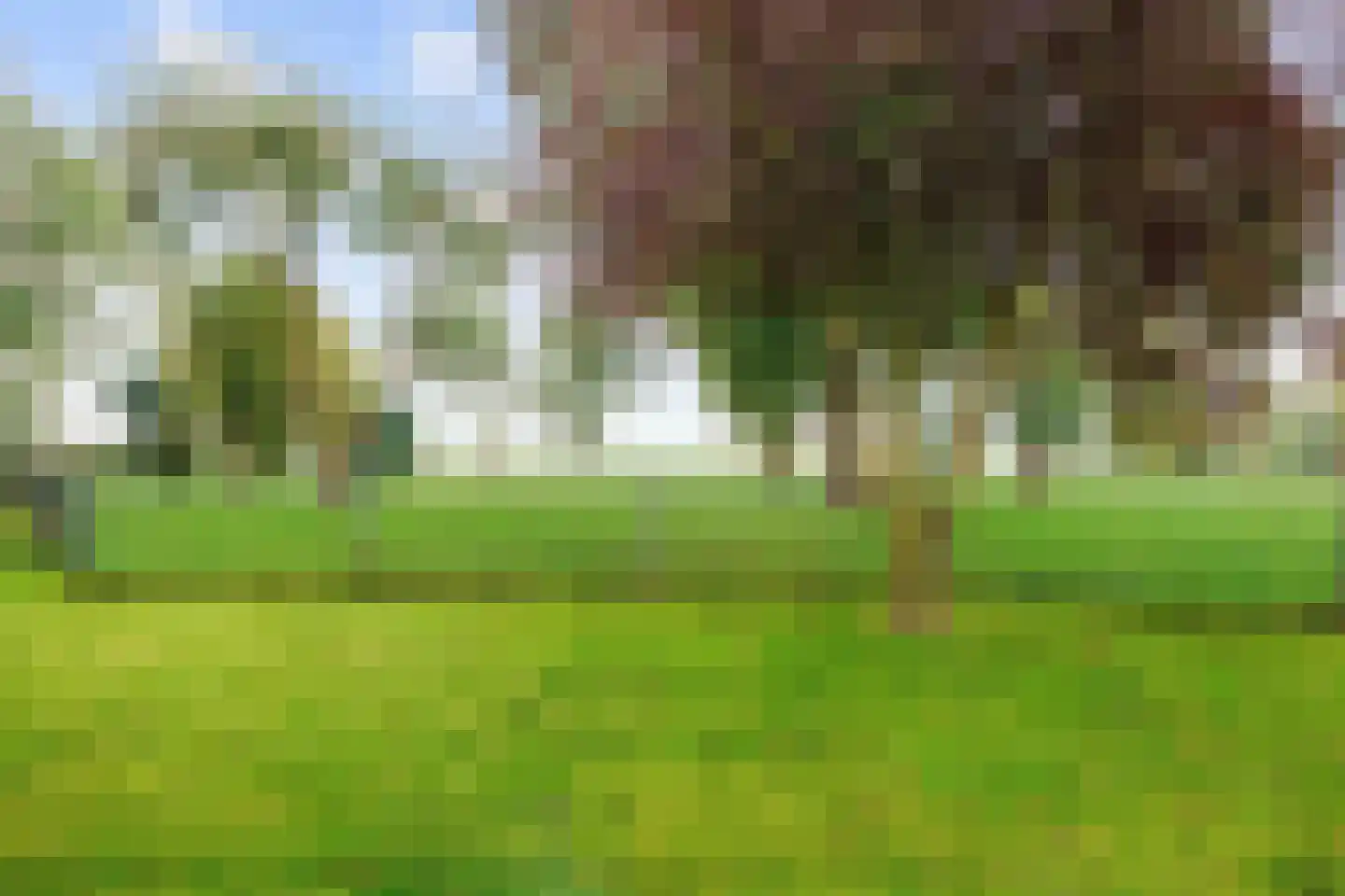 Schilligeham 8 Winsum thumbnail 83