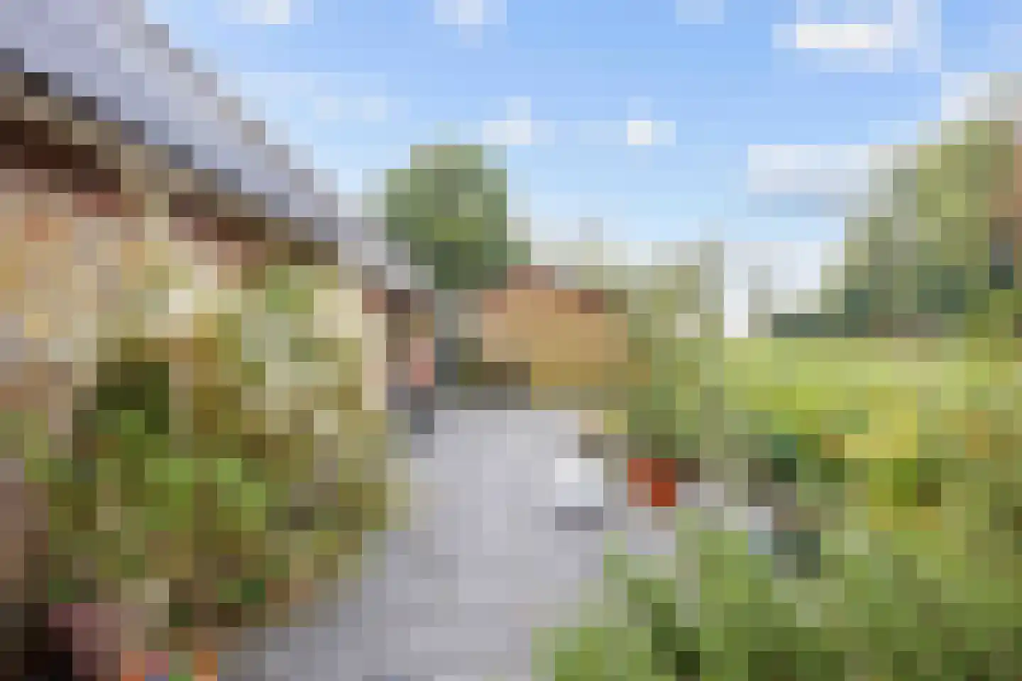 Schilligeham 8 Winsum thumbnail 85