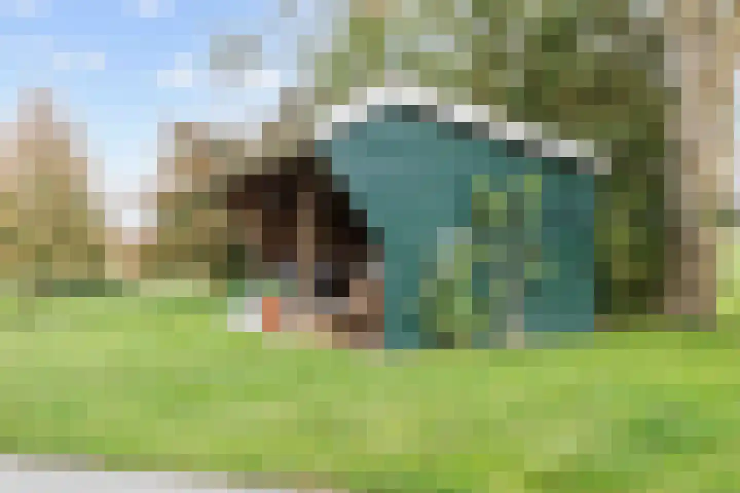 Schilligeham 8 Winsum thumbnail 94
