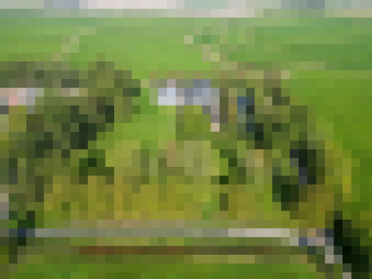 Schilligeham 8 Winsum thumbnail 95