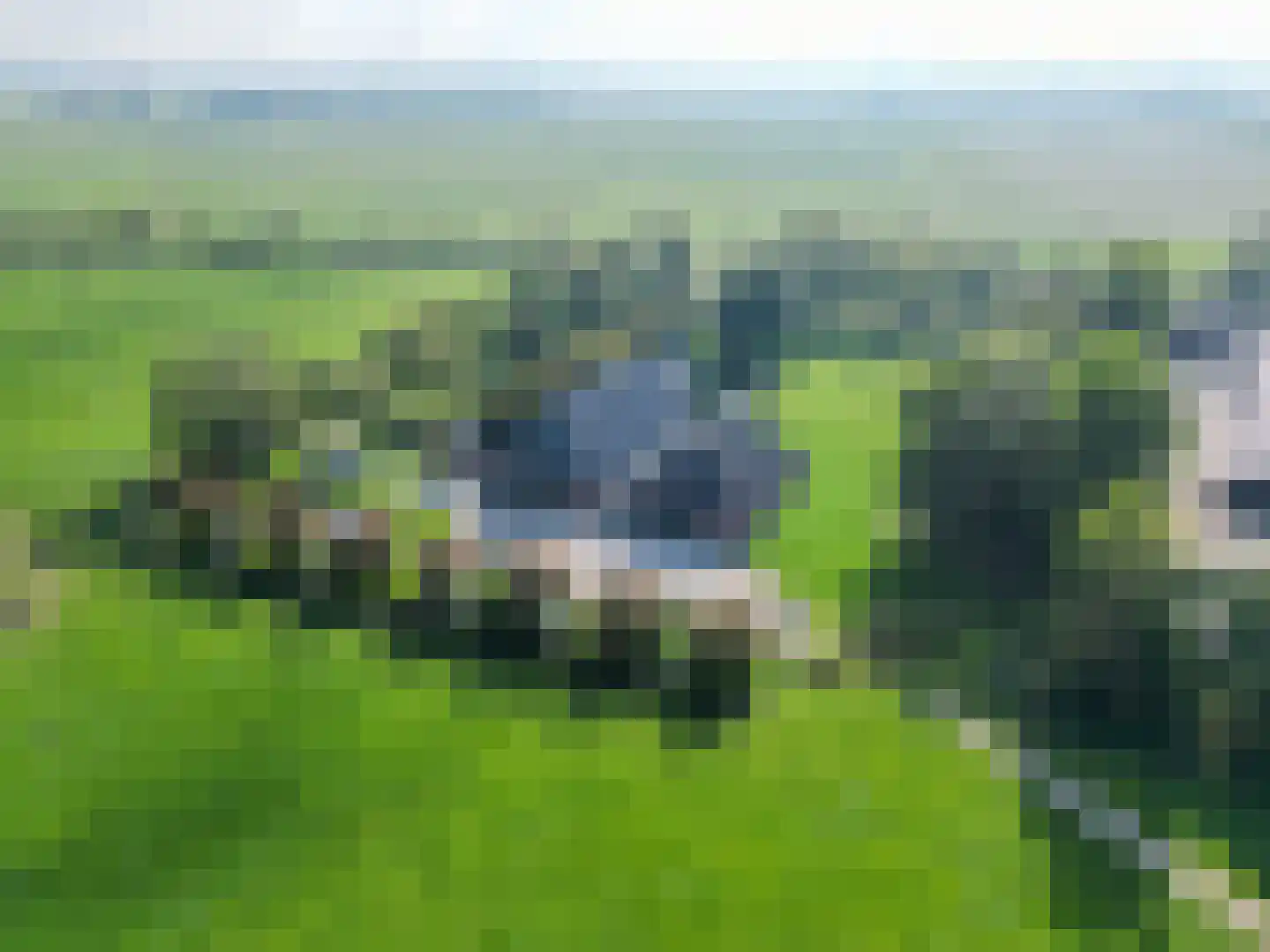 Schilligeham 8 Winsum thumbnail 97
