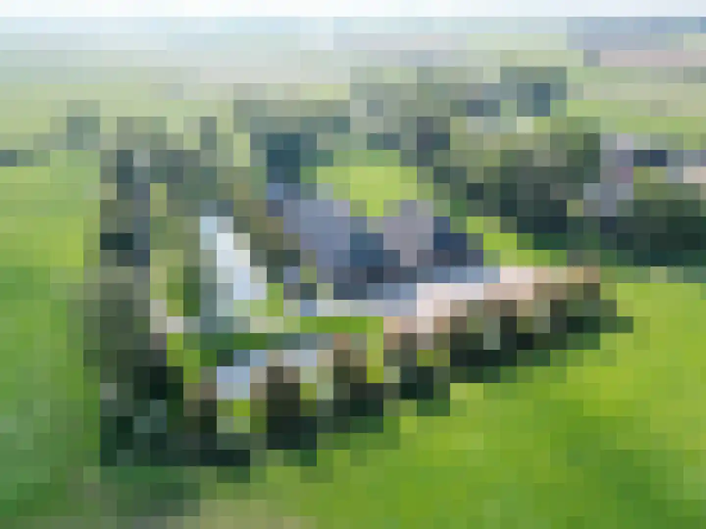 Schilligeham 8 Winsum thumbnail 98