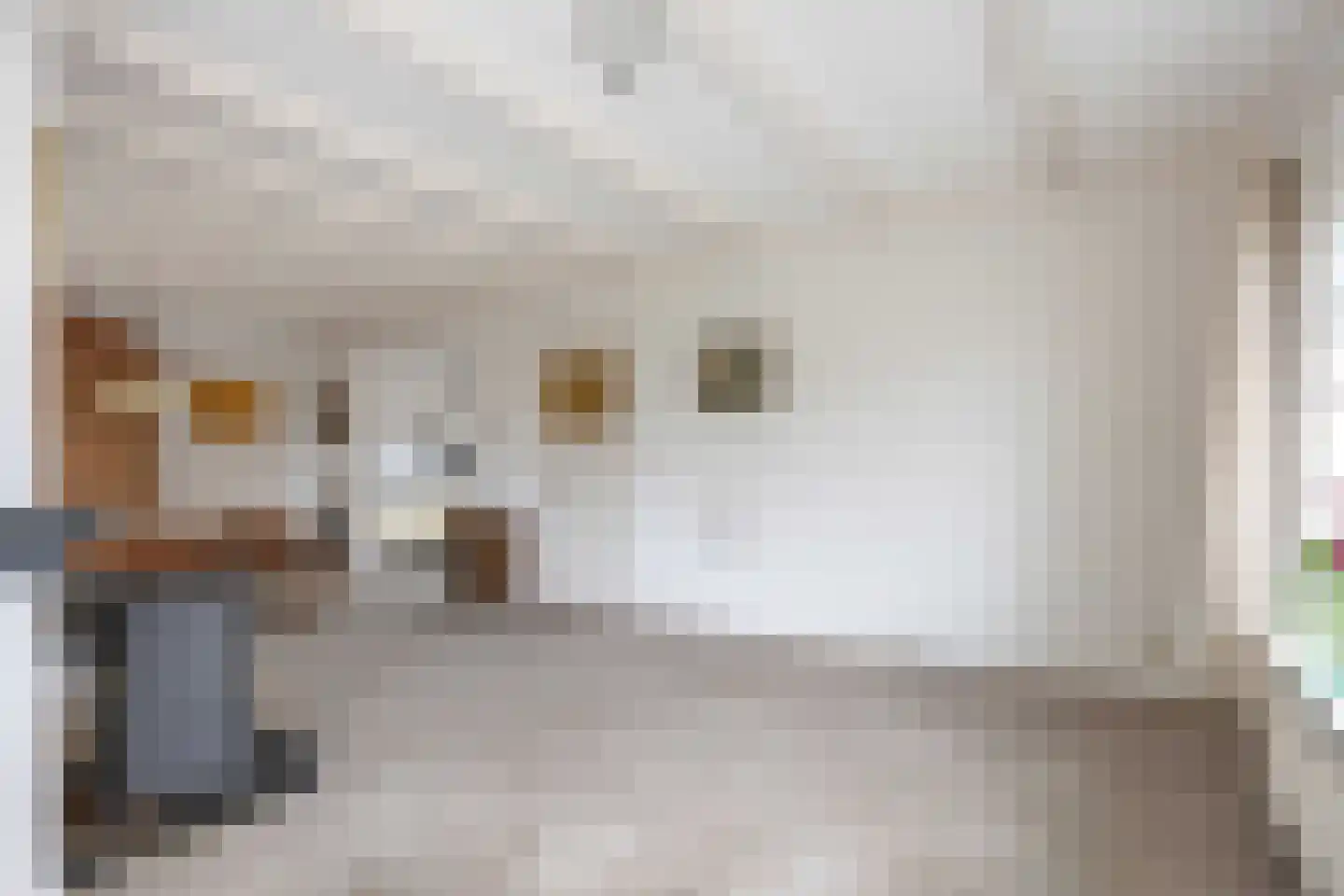 Schilligehamsterweg 12 Winsum thumbnail 10