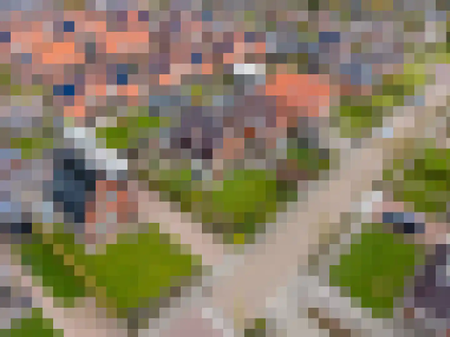 Schilligehamsterweg 12 Winsum thumbnail 32