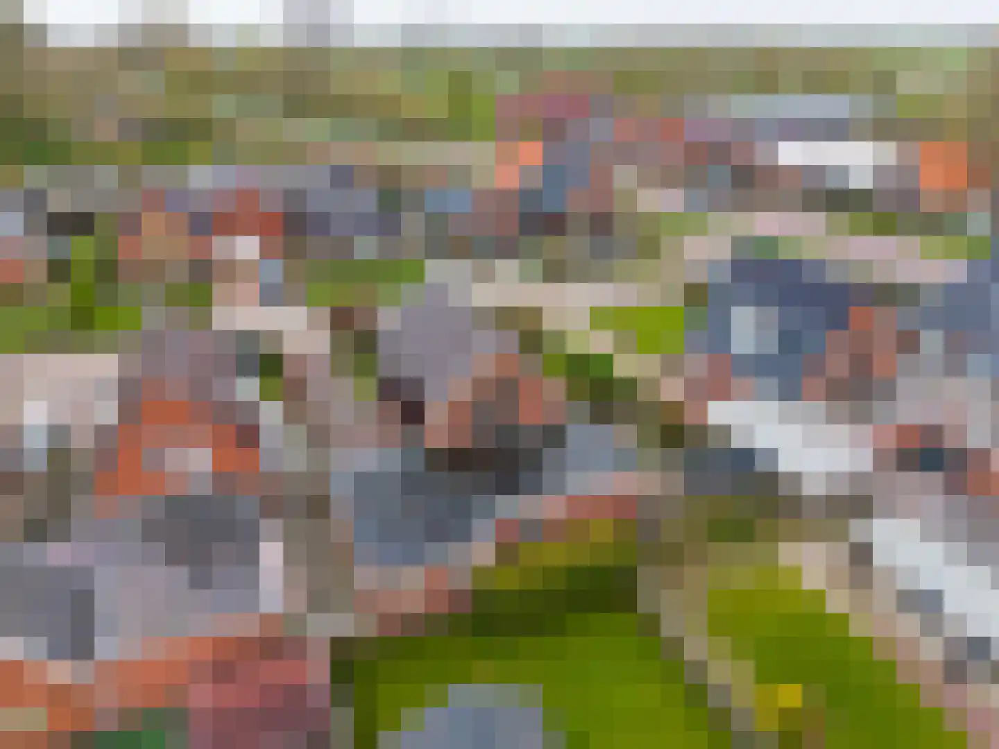 Schilligehamsterweg 12 Winsum thumbnail 34