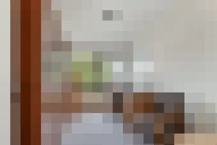 Schillingdreef 13 Woerden thumbnail 17