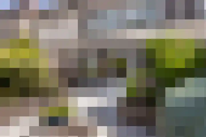 Schillingdreef 13 Woerden thumbnail 31
