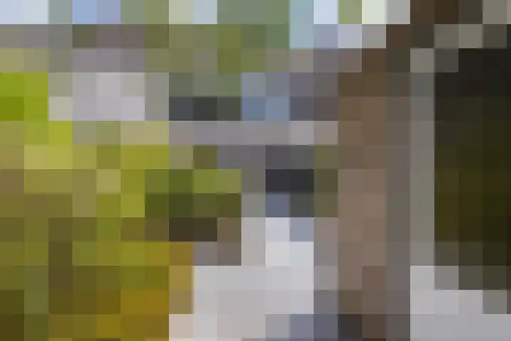 Schillingdreef 13 Woerden thumbnail 32