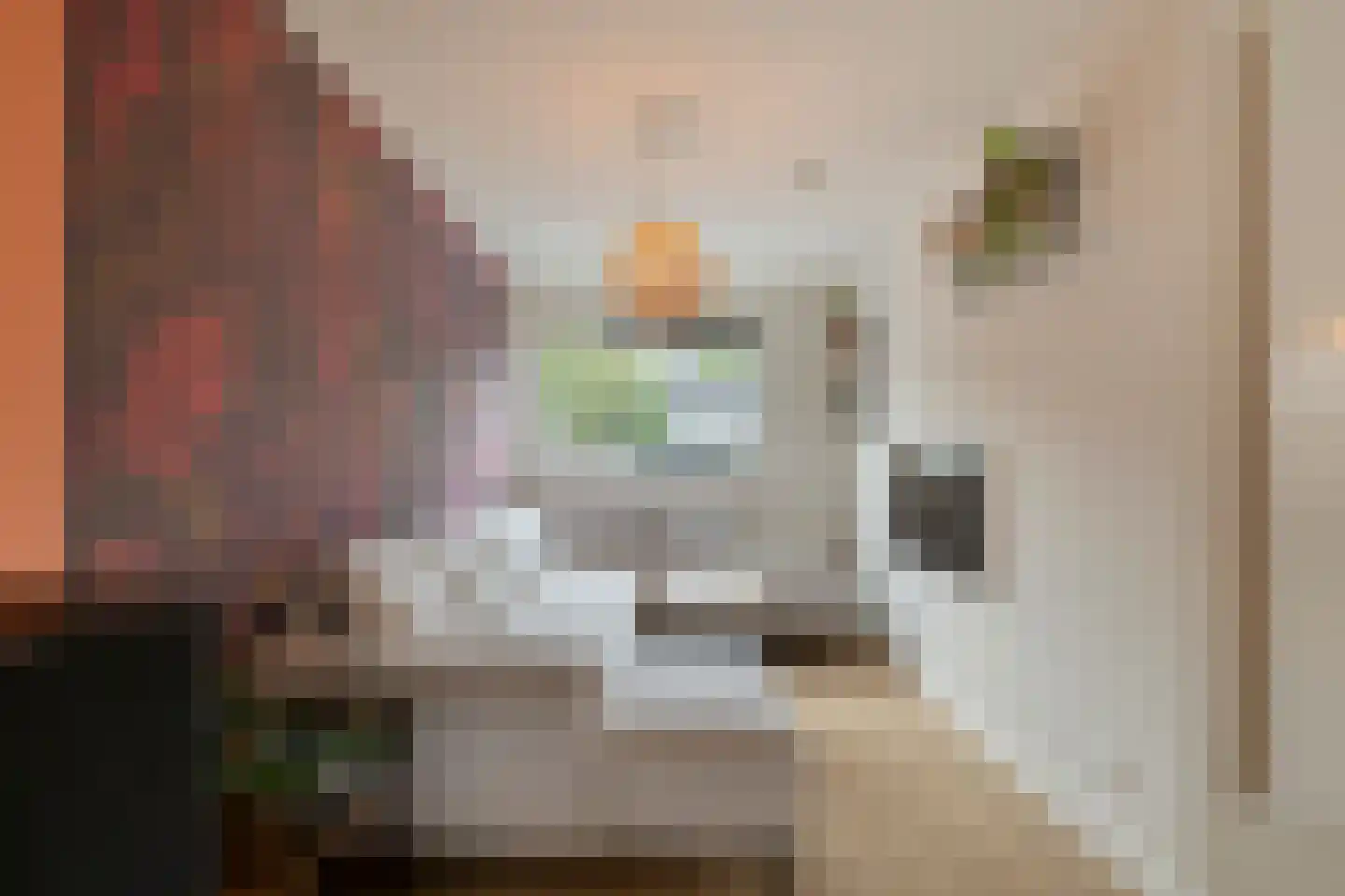 Schillingdreef 19 Woerden thumbnail 4