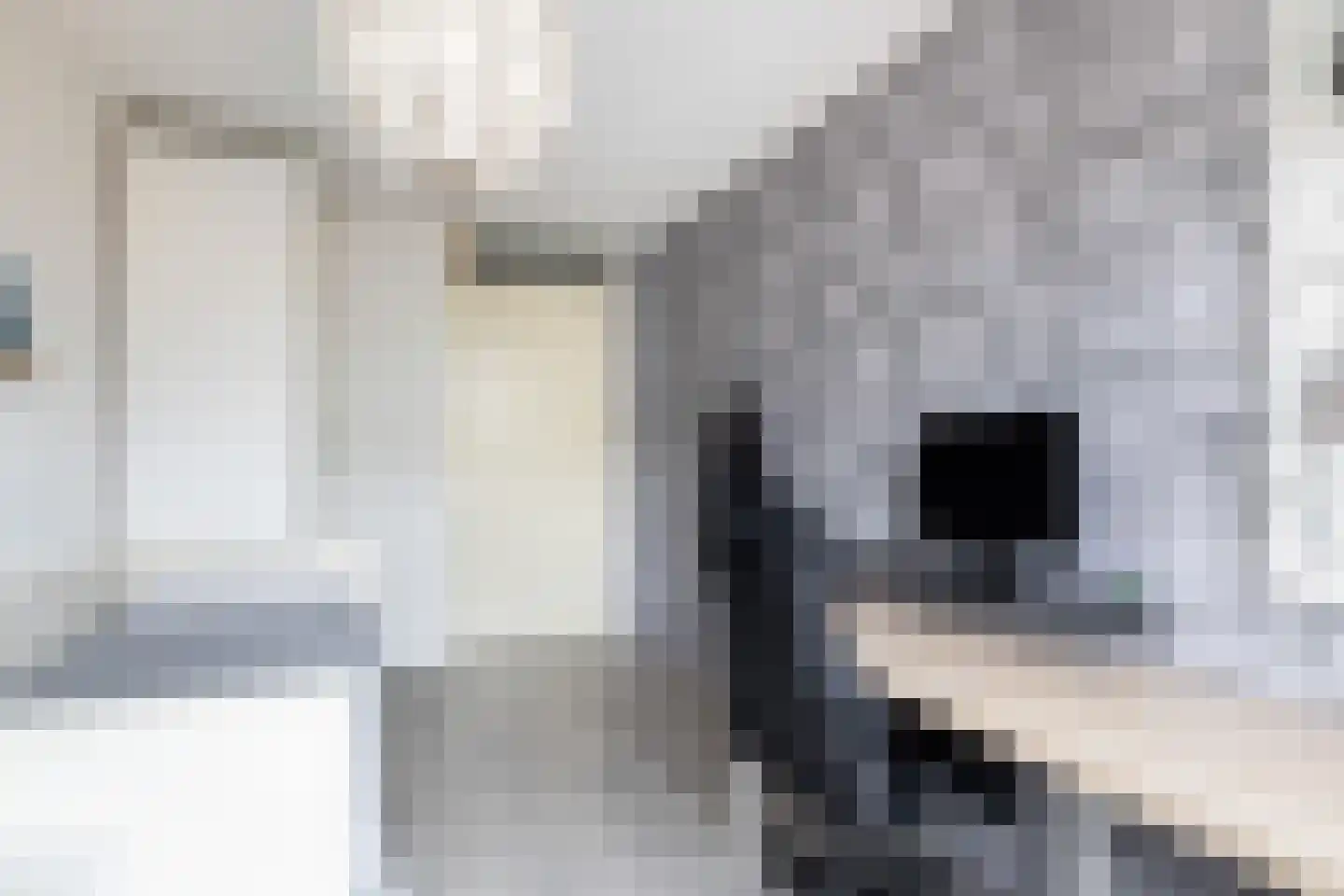 Schillingdreef 24 Woerden thumbnail 24