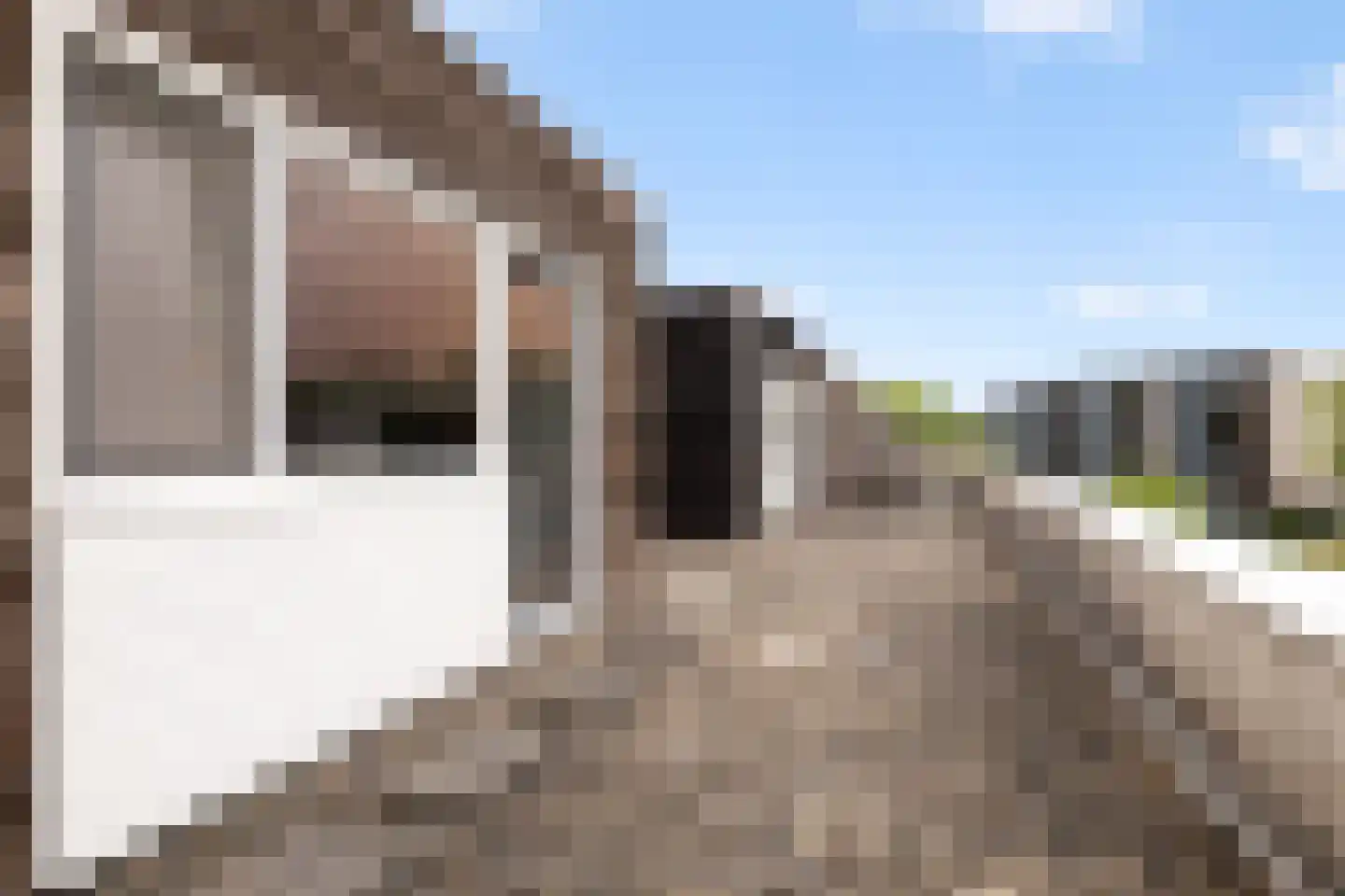 Schillingdreef 24 Woerden thumbnail 31
