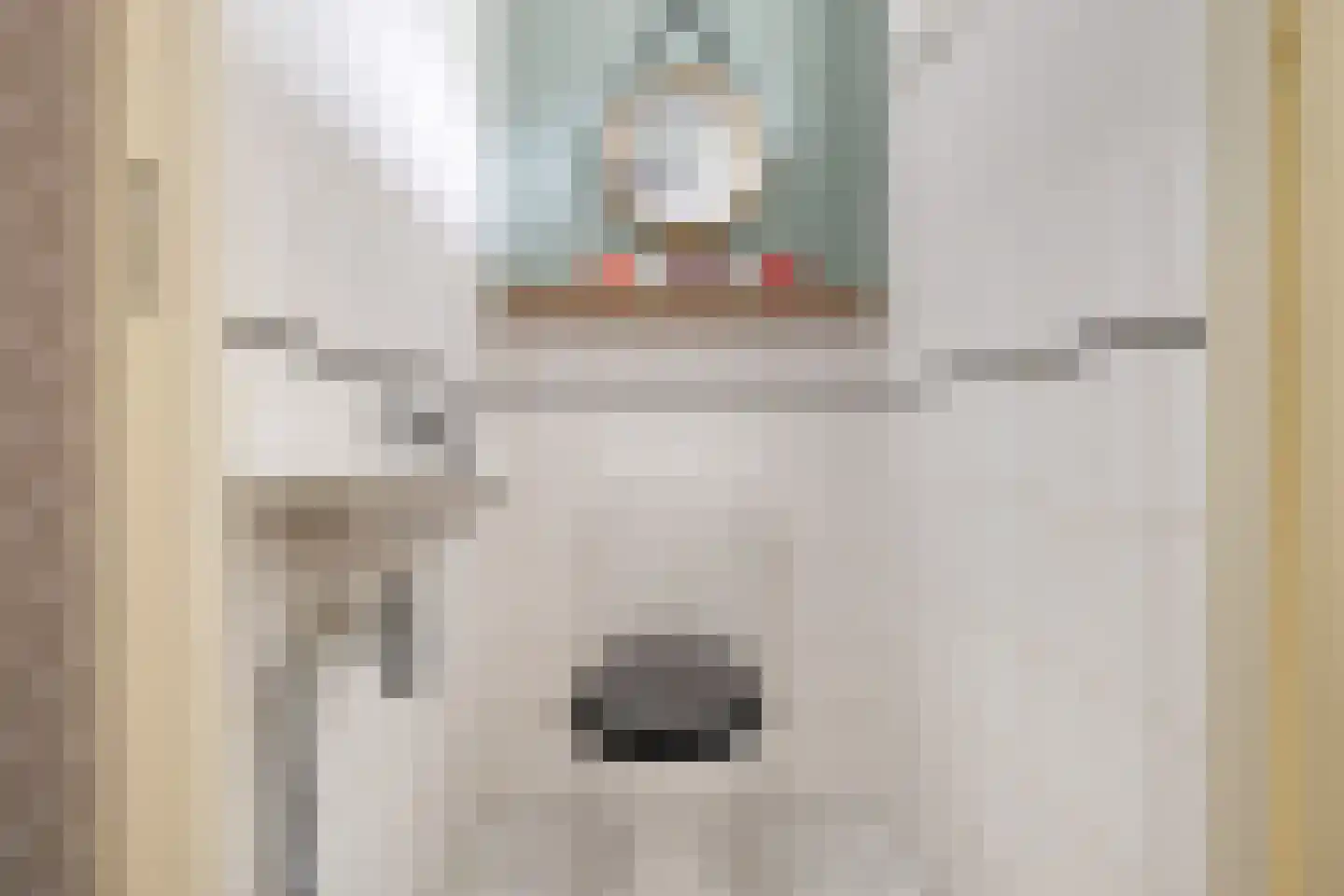 Schillingdreef 24 Woerden thumbnail 6