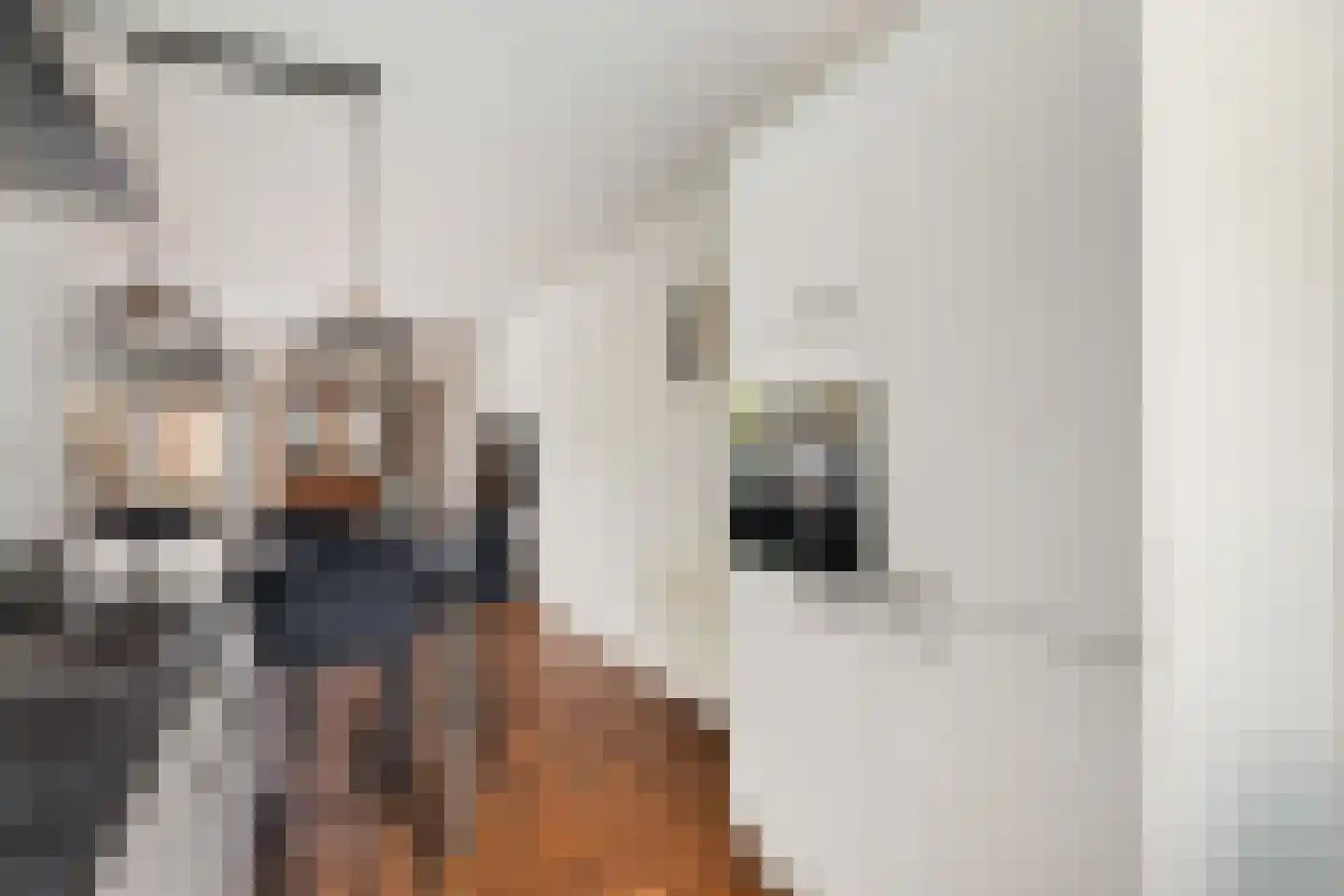 Schillingdreef 41 Woerden thumbnail 12