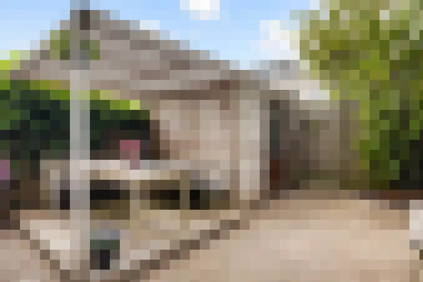 Schillingdreef 41 Woerden thumbnail 19