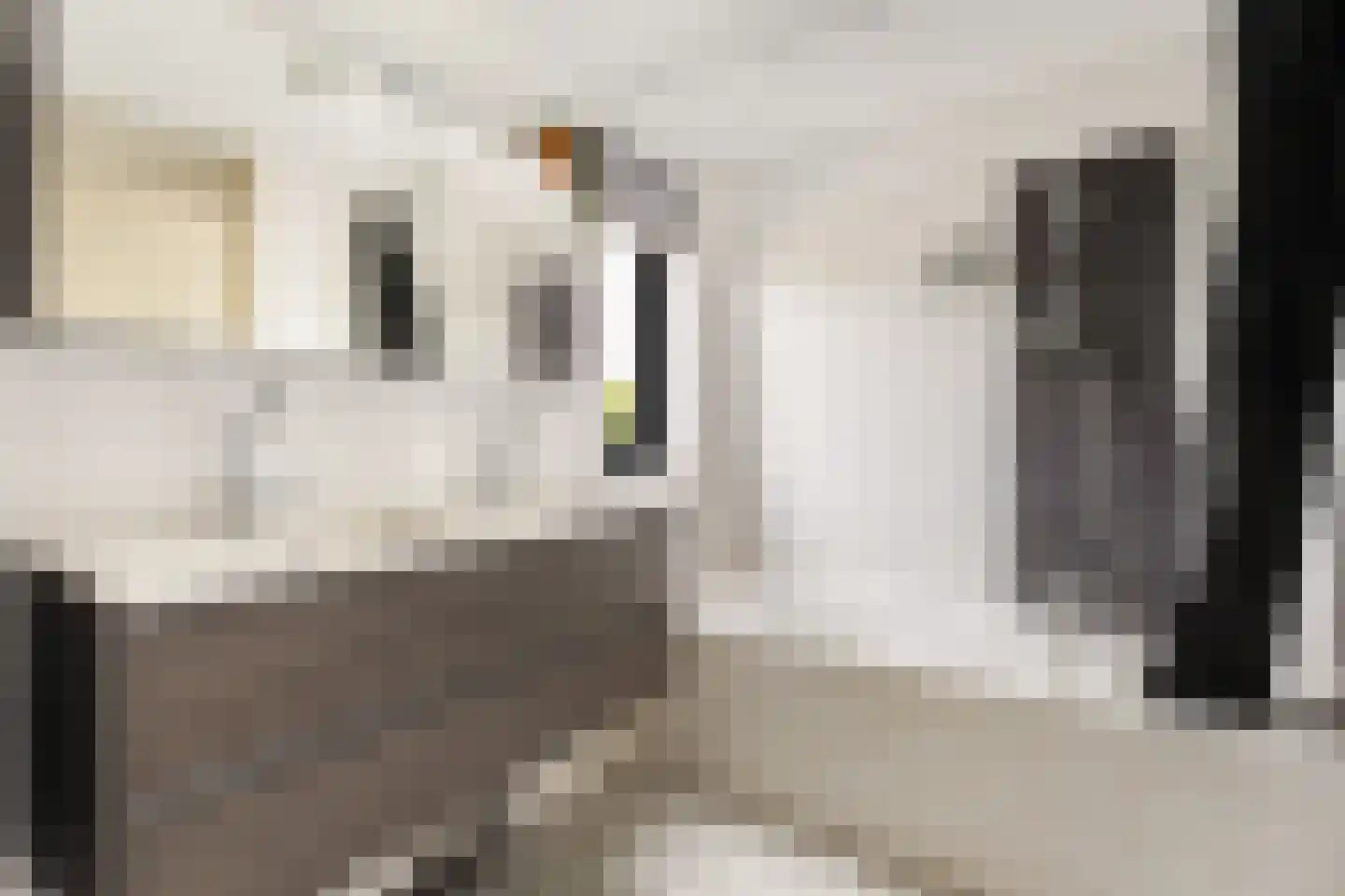 Schillingdreef 41 Woerden thumbnail 30