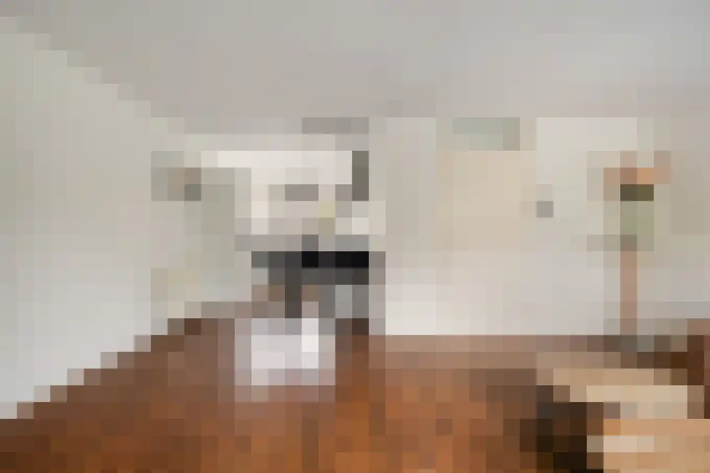Schillingdreef 41 Woerden thumbnail 8
