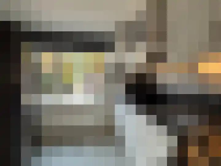 Schilp acker 16 Heemskerk thumbnail 11