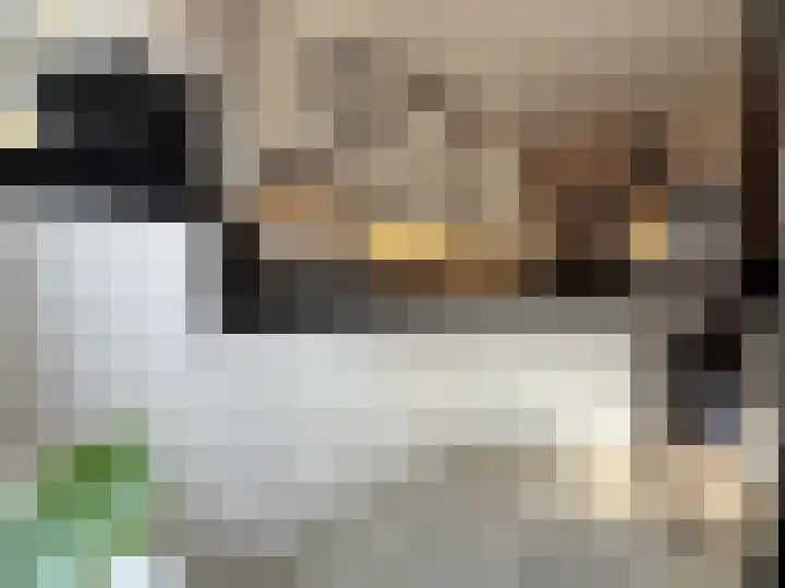 Schilp acker 16 Heemskerk thumbnail 12