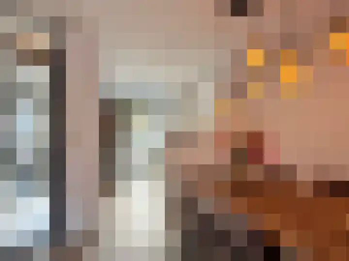 Schilp acker 16 Heemskerk thumbnail 14
