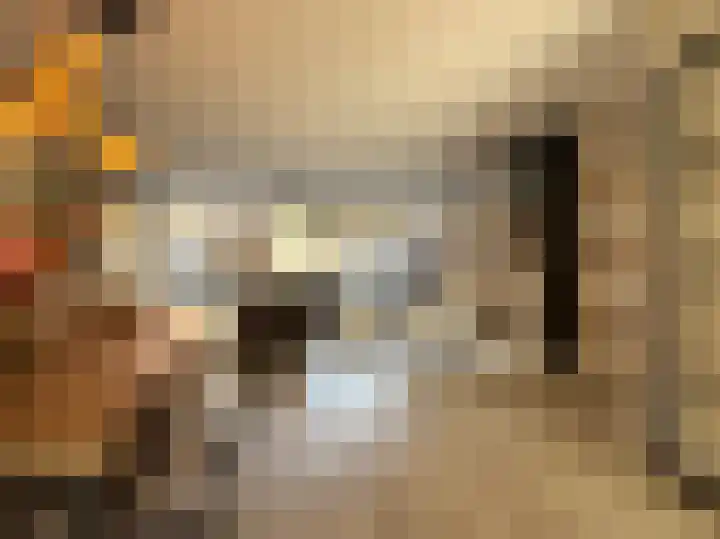 Schilp acker 16 Heemskerk thumbnail 15