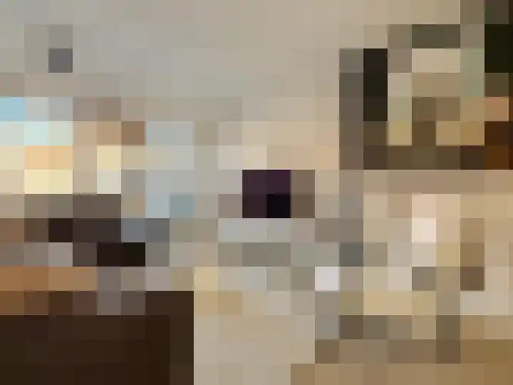 Schilp acker 16 Heemskerk thumbnail 17