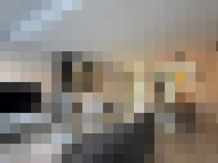 Schilp acker 16 Heemskerk thumbnail 18