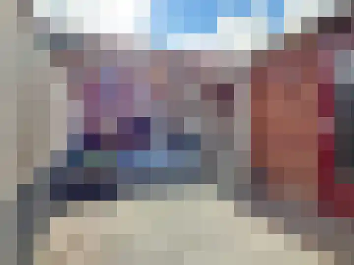 Schilp acker 16 Heemskerk thumbnail 22