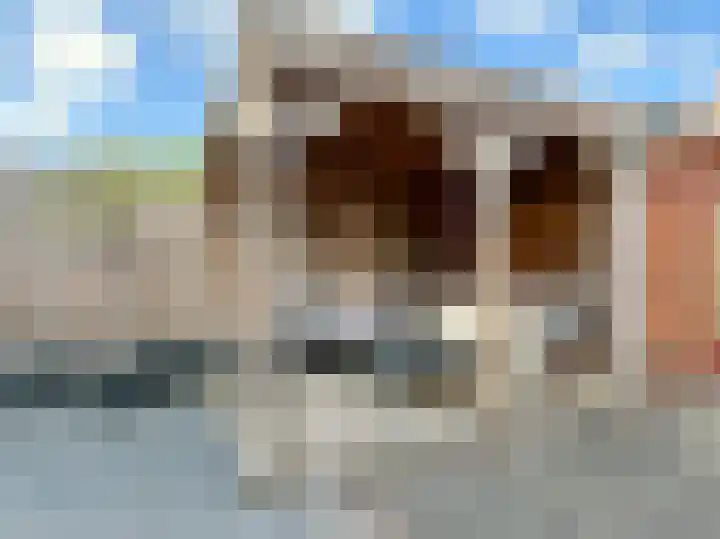 Schilp acker 16 Heemskerk thumbnail 23
