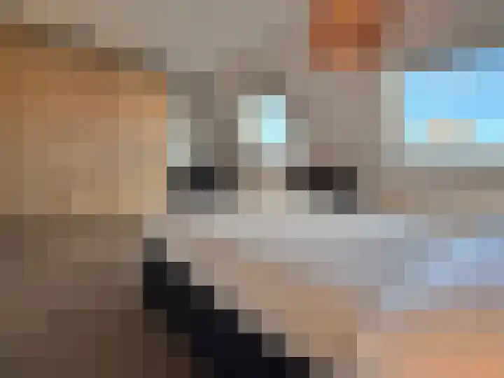 Schilp acker 16 Heemskerk thumbnail 27