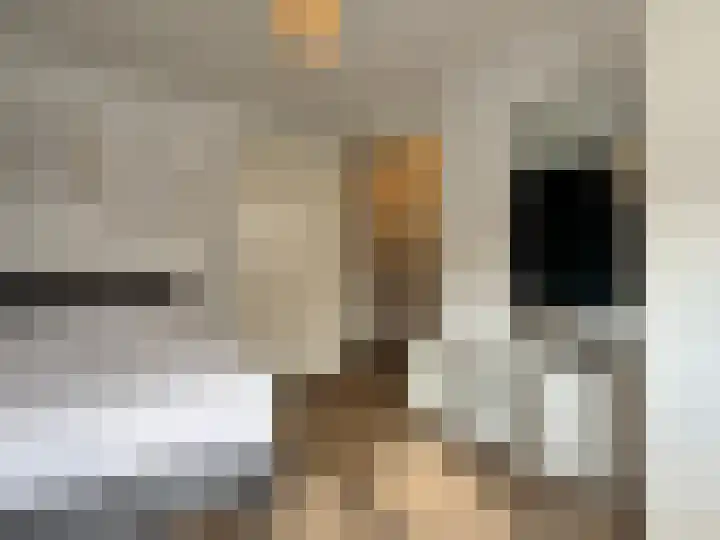 Schilp acker 16 Heemskerk thumbnail 31
