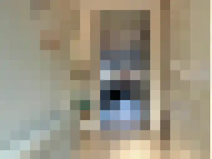 Schilp acker 16 Heemskerk thumbnail 7