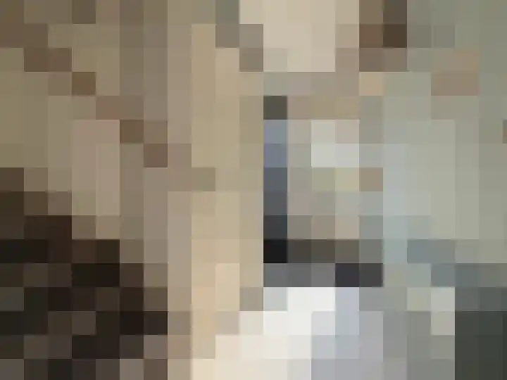 Schilp acker 16 Heemskerk thumbnail 9