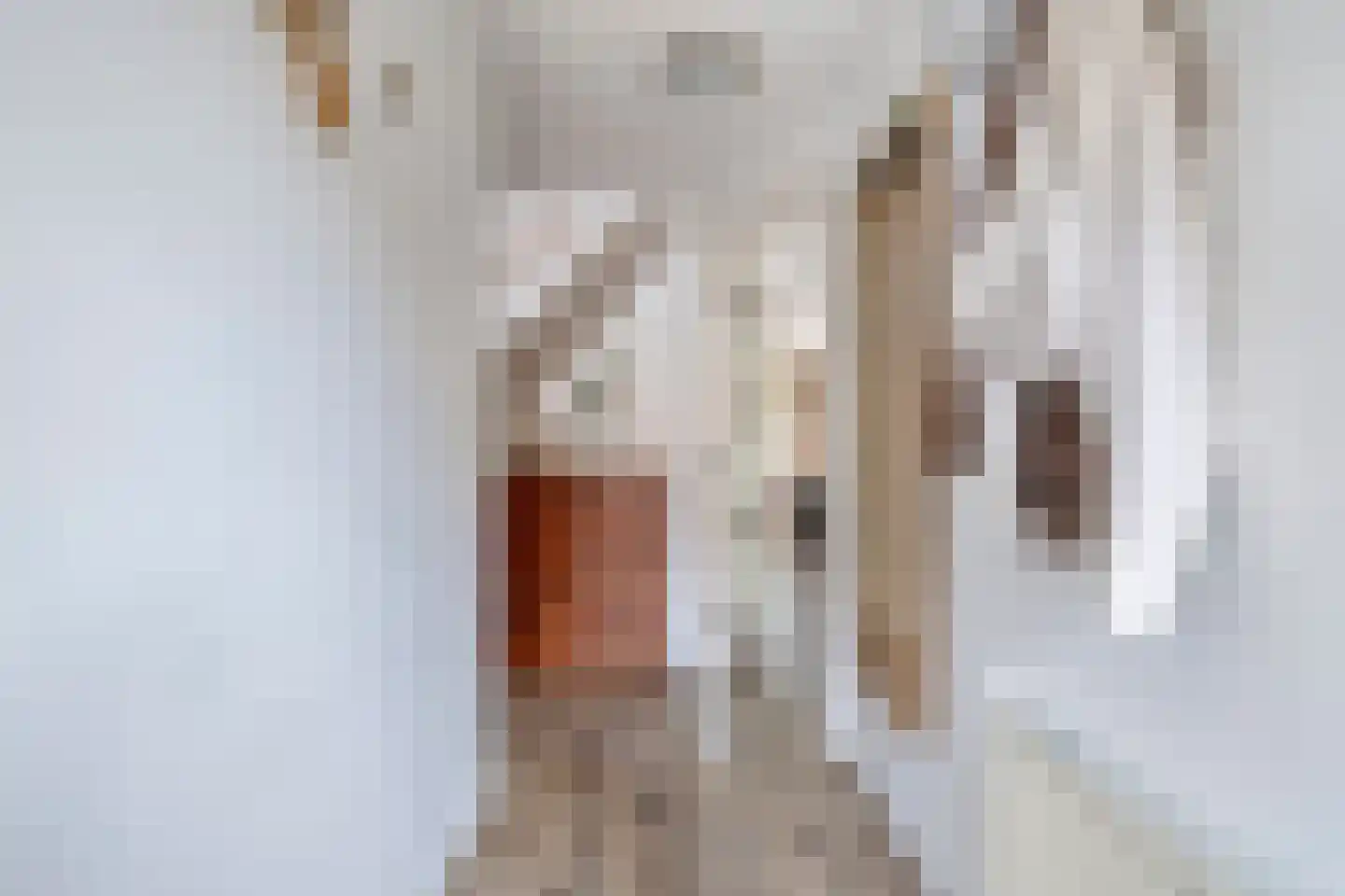 Schilp acker 21 Heemskerk thumbnail 13