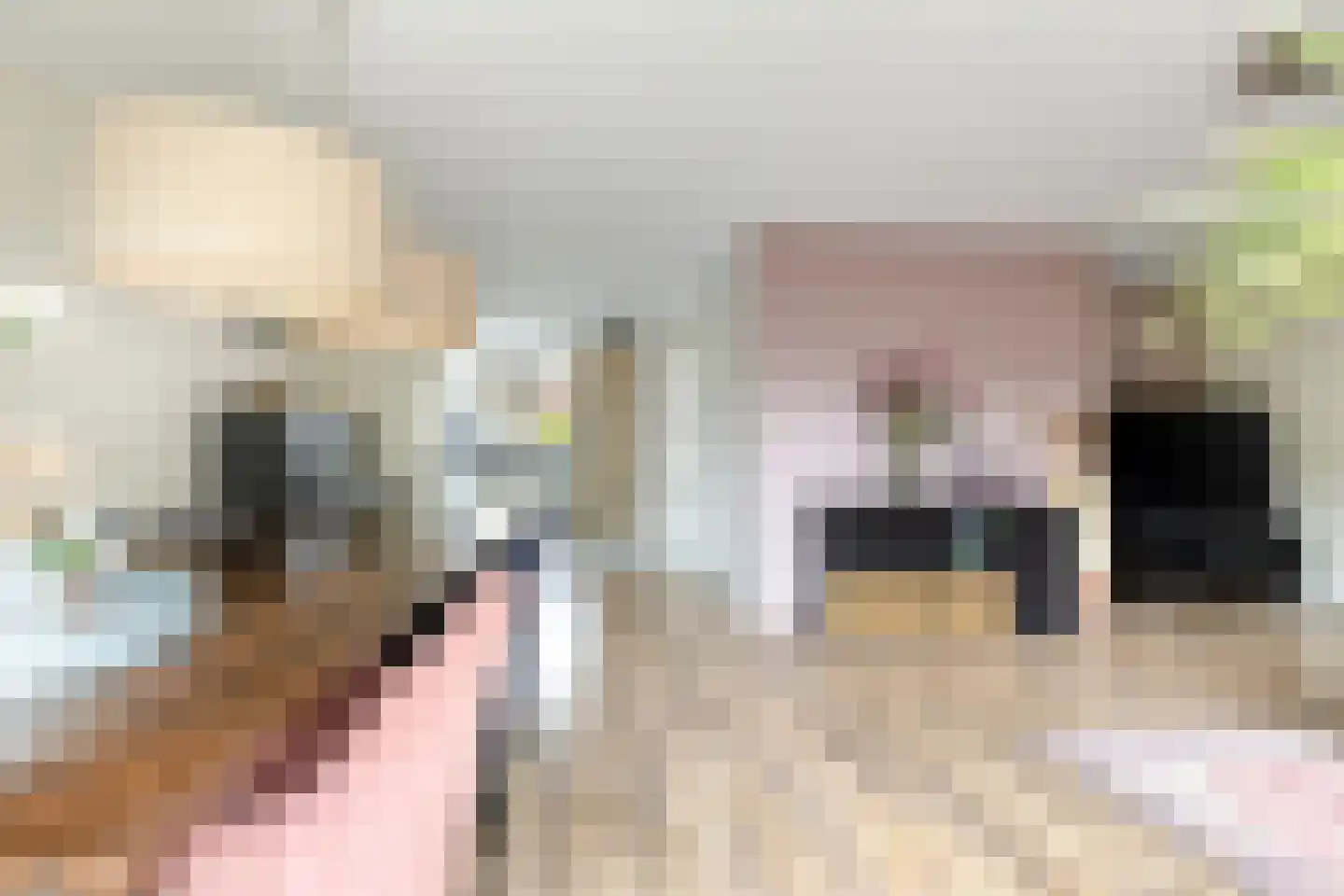 Schilp acker 21 Heemskerk thumbnail 19