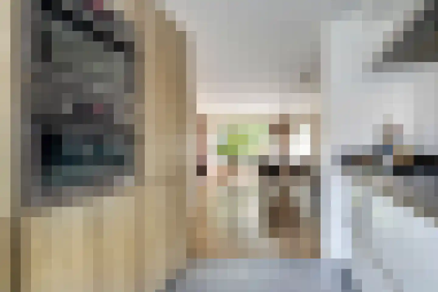 Schilp acker 21 Heemskerk thumbnail 23