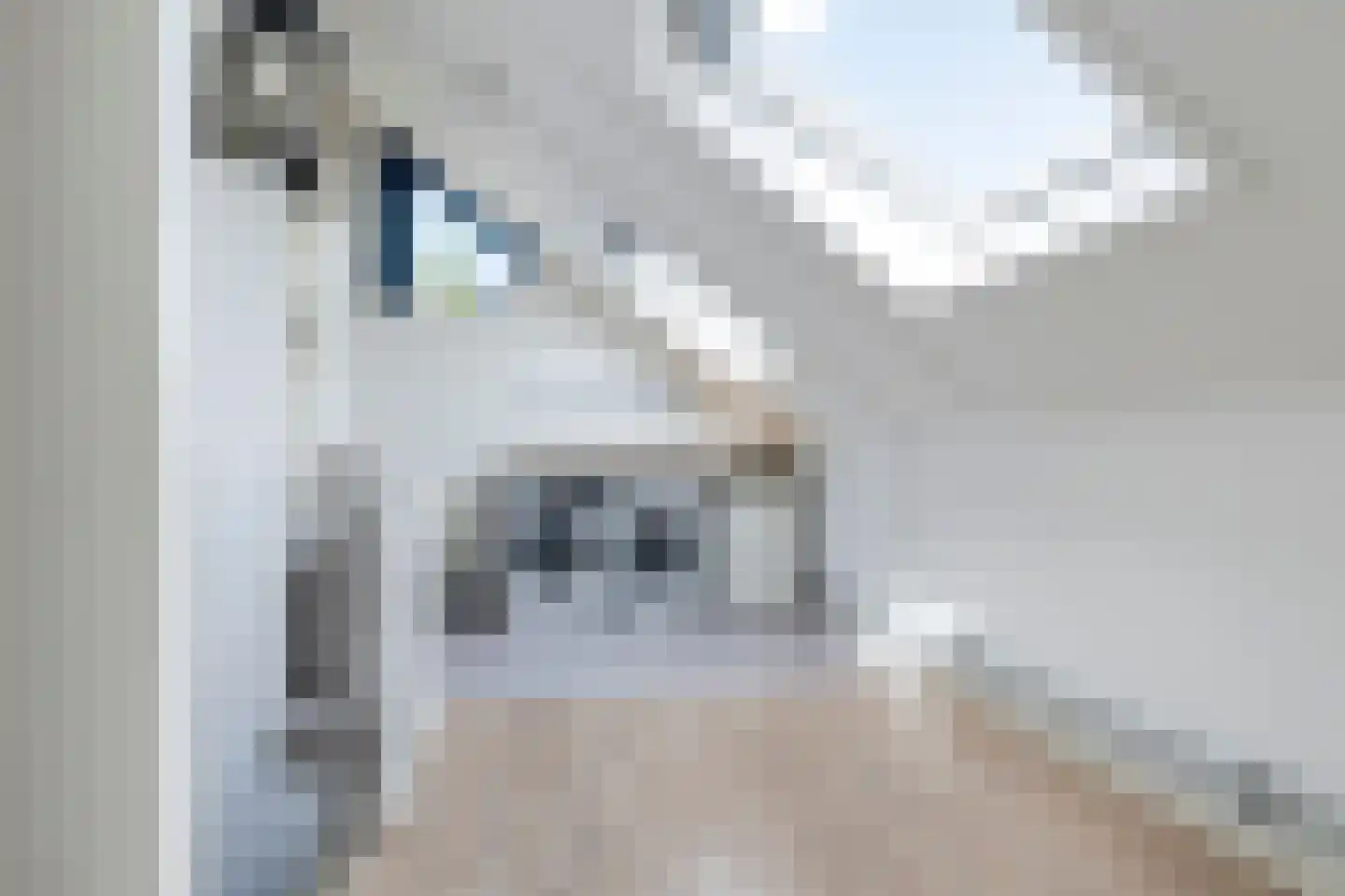 Schilp acker 21 Heemskerk thumbnail 36