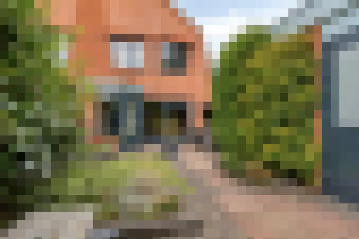 Schilp acker 21 Heemskerk thumbnail 43