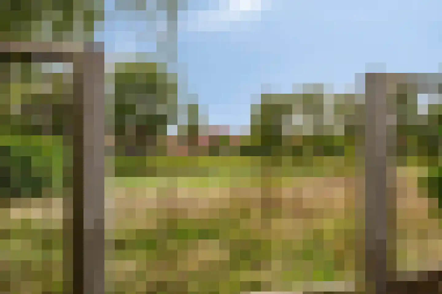 Schilp acker 21 Heemskerk thumbnail 45