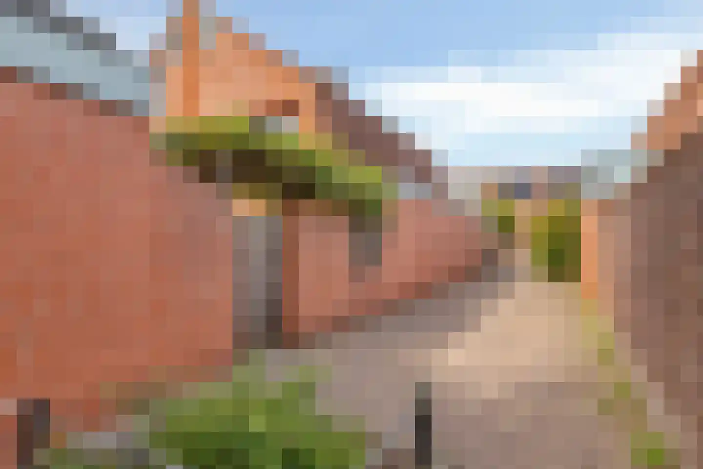 Schilp acker 21 Heemskerk thumbnail 48